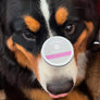 Nose Balm 20g