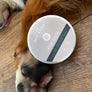 Paw Balm 75g