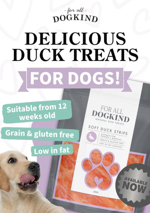 Soft Duck Strips 500g