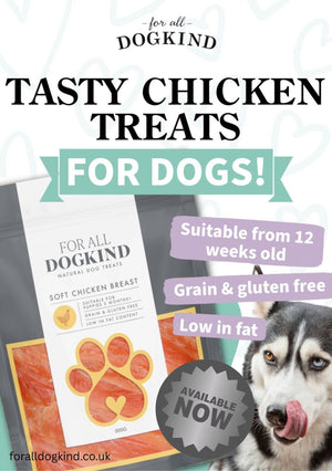 Soft Chicken Breast 500g