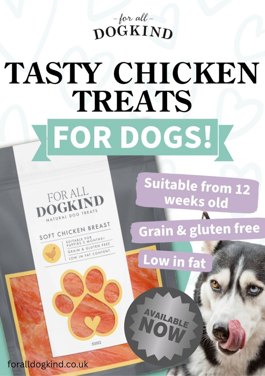 Soft Chicken Breast 500g
