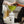 1 LITRE SHAMPOO MIXING BOTTLE - TRADE