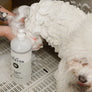 1 LITRE SHAMPOO MIXING BOTTLE - TRADE