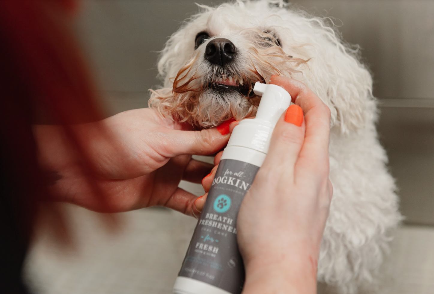 Natural dog breath deals spray