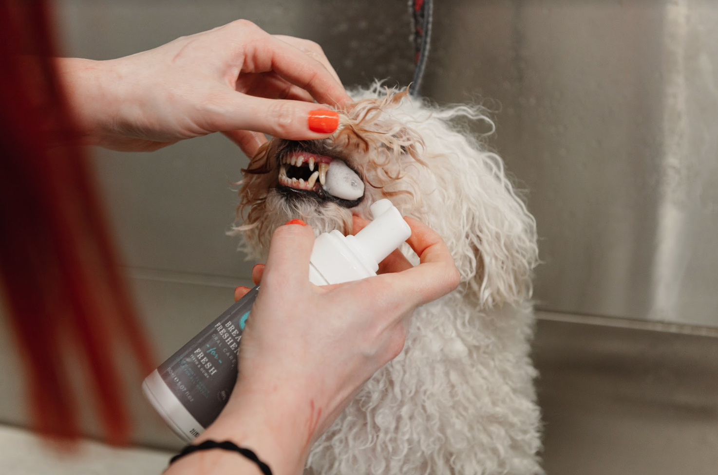 Breath Freshener 150ml For All DogKind