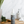 GF DAILY FRESHENER SCENT SPRAY FOR SMELLY SKIN & COATS - TRADE