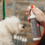 DETANGLE SPRAY 250ml - TRADE