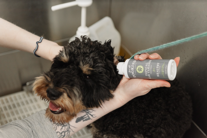Topical Ear Cleaner for Healthy Ear Canal