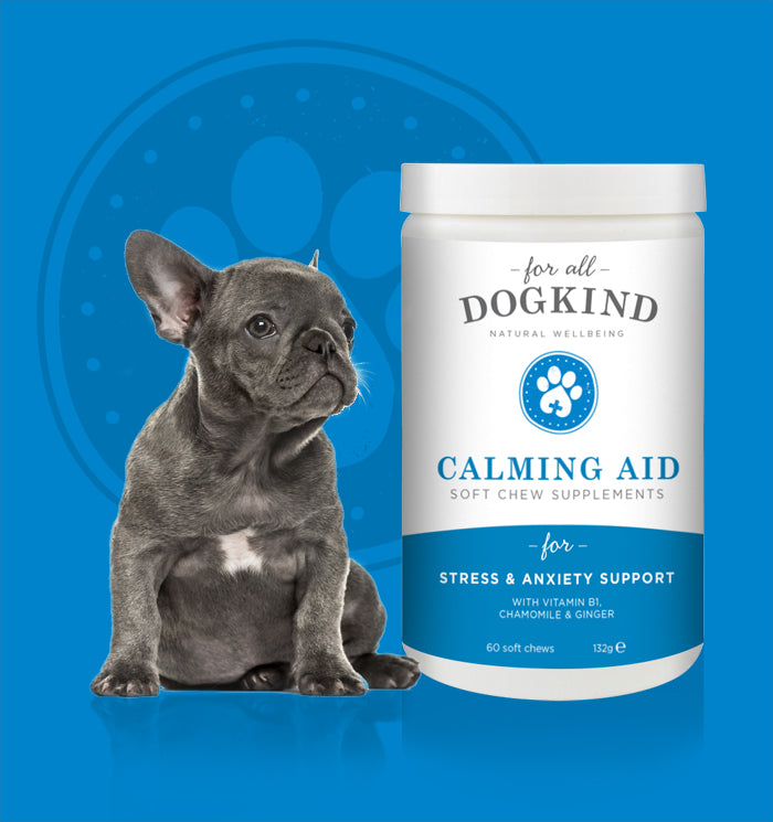 Calming Aid Soft Chew Supplements