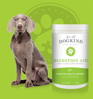 Digestion Aid Soft Chew Supplements