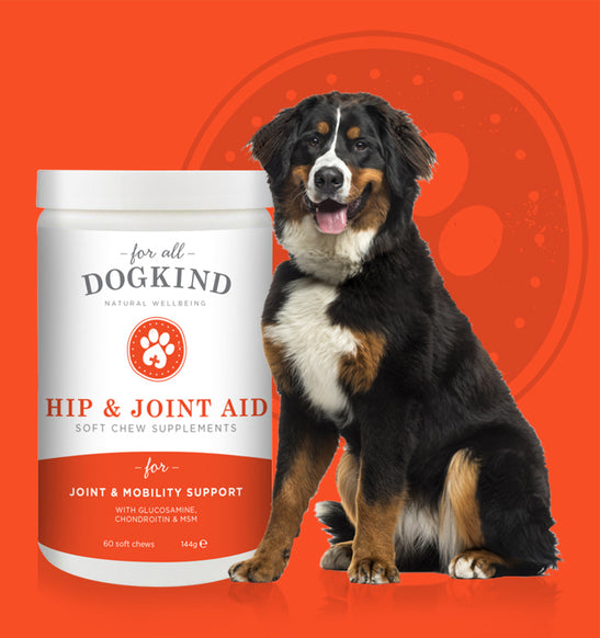 Hip & Joint Aid Soft Chew Supplements