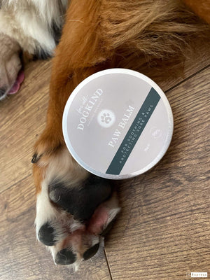 Paw Balm 75g