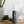 Leave-In Conditioner 250ml